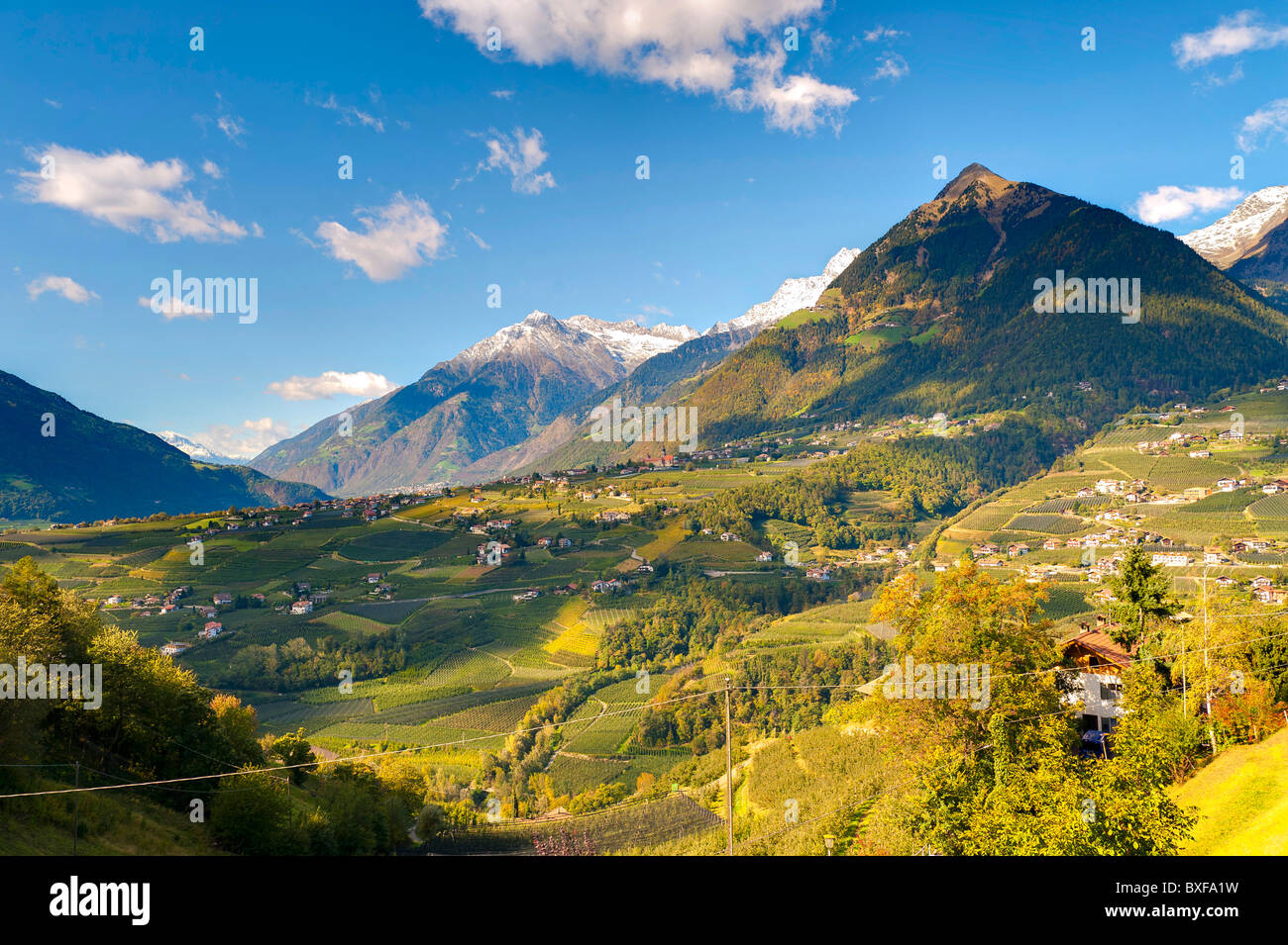 Vue sur la vallée de la ville de Scena, Trentin-Haut-Adige, Italie Banque D'Images