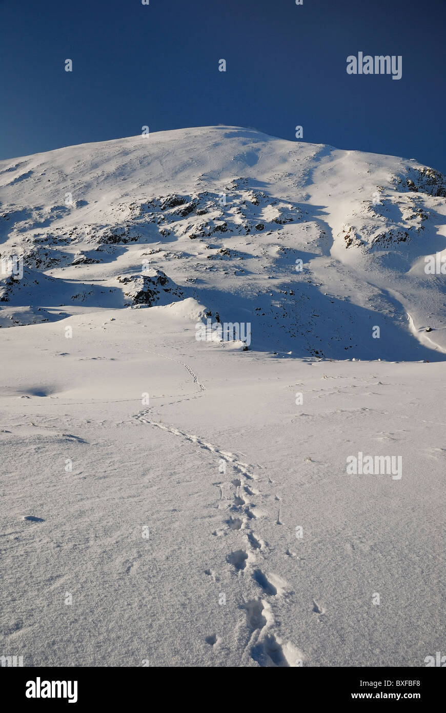 Des traces de pas dans la neige menant à Dale Head en hiver dans le Lake District Banque D'Images