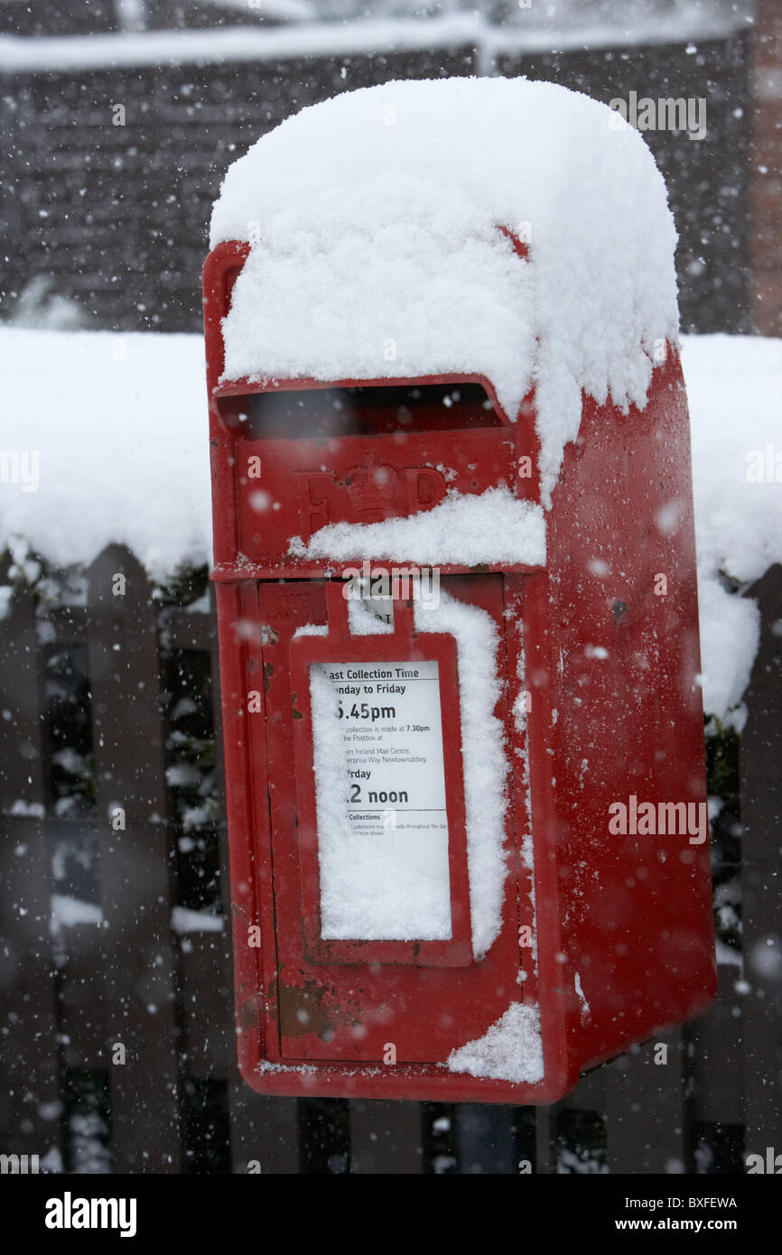 Royal Mail postbox recouvert de neige sur un jour froid des hivers enneigés de l'Irlande du Nord Belfast Banque D'Images