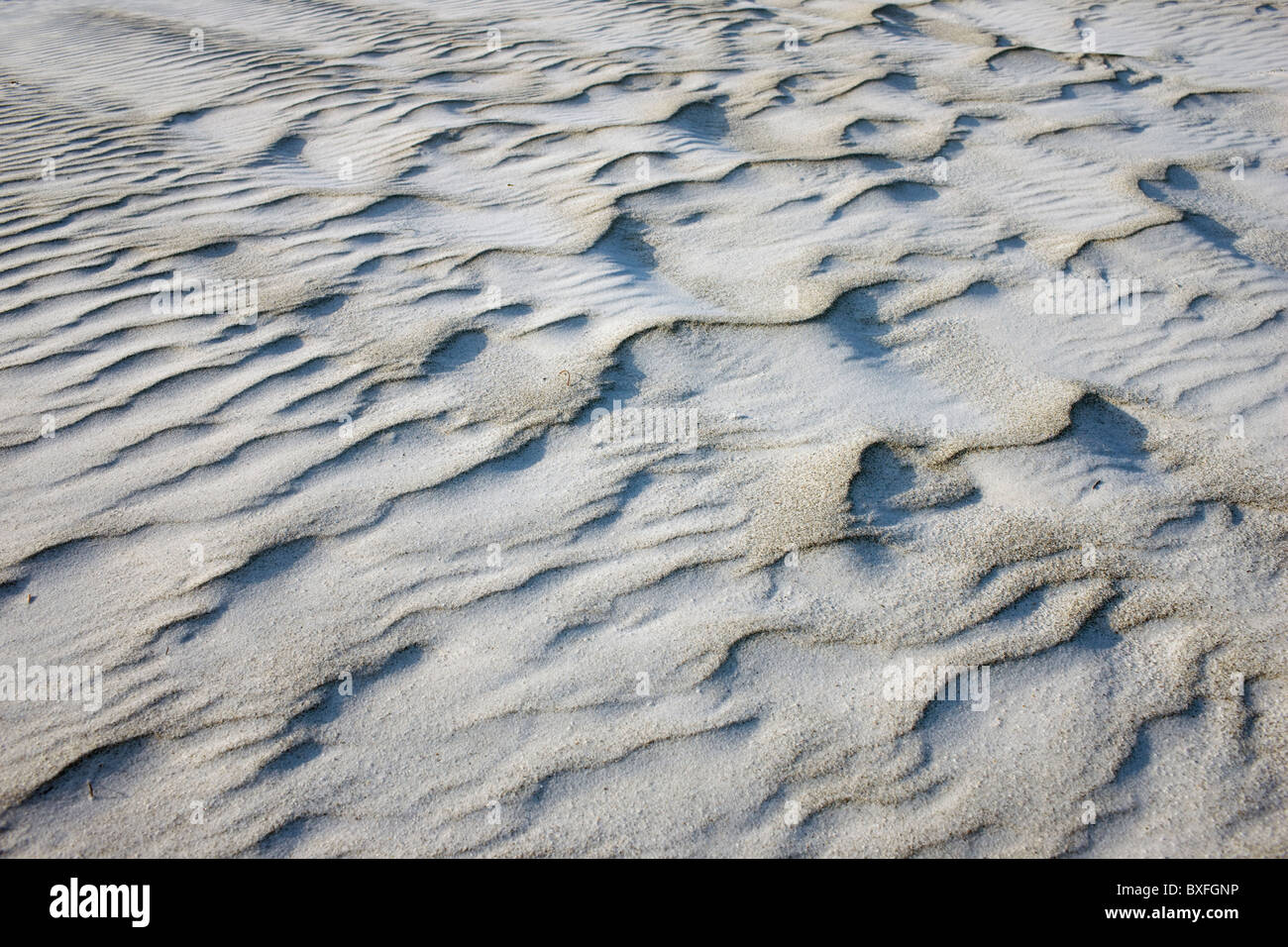 Sur le sable blanc de la plage de sable immaculé, Anna Maria Island, Floride, États-Unis d'Amérique Banque D'Images