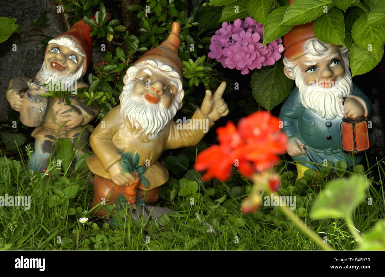 Kitsch / souvenir, gnomes de jardin, Allemagne, gnomes de jardin, historique, historique, nains, nains, bouchon de sac de gelée, capuchons de sac de gelée, barbe blanche, barbe complète, décoration, jardin avant, cour avant, jardins avant, portes, verges avant, plantes, jardin d'allotissement, jardin d'allotissement, allotissement, allotissements, droits supplémentaires-Clearences-non disponible Banque D'Images