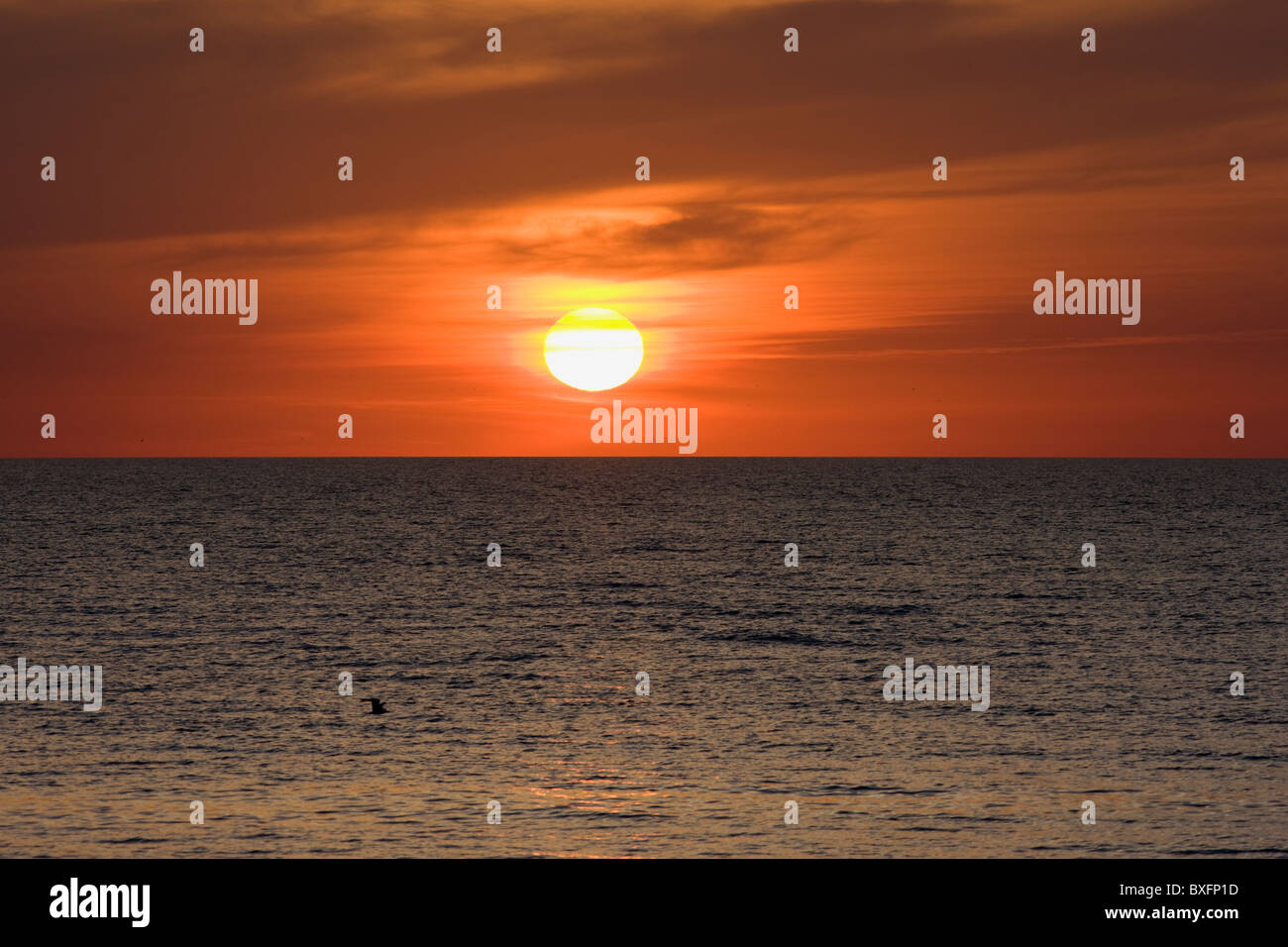 Coucher de soleil sur le golfe du Mexique d'Anna Maria Island, Floride, États-Unis d'Amérique Banque D'Images