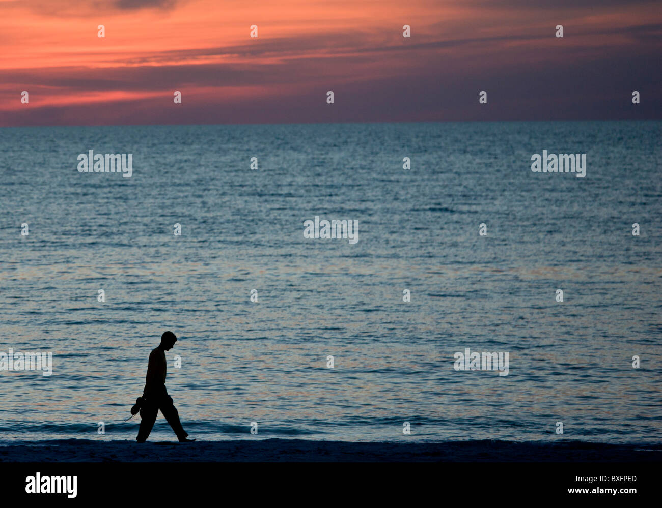 L'homme prend le coucher du soleil se promener à Anna Maria Island, Floride, États-Unis d'Amérique Banque D'Images