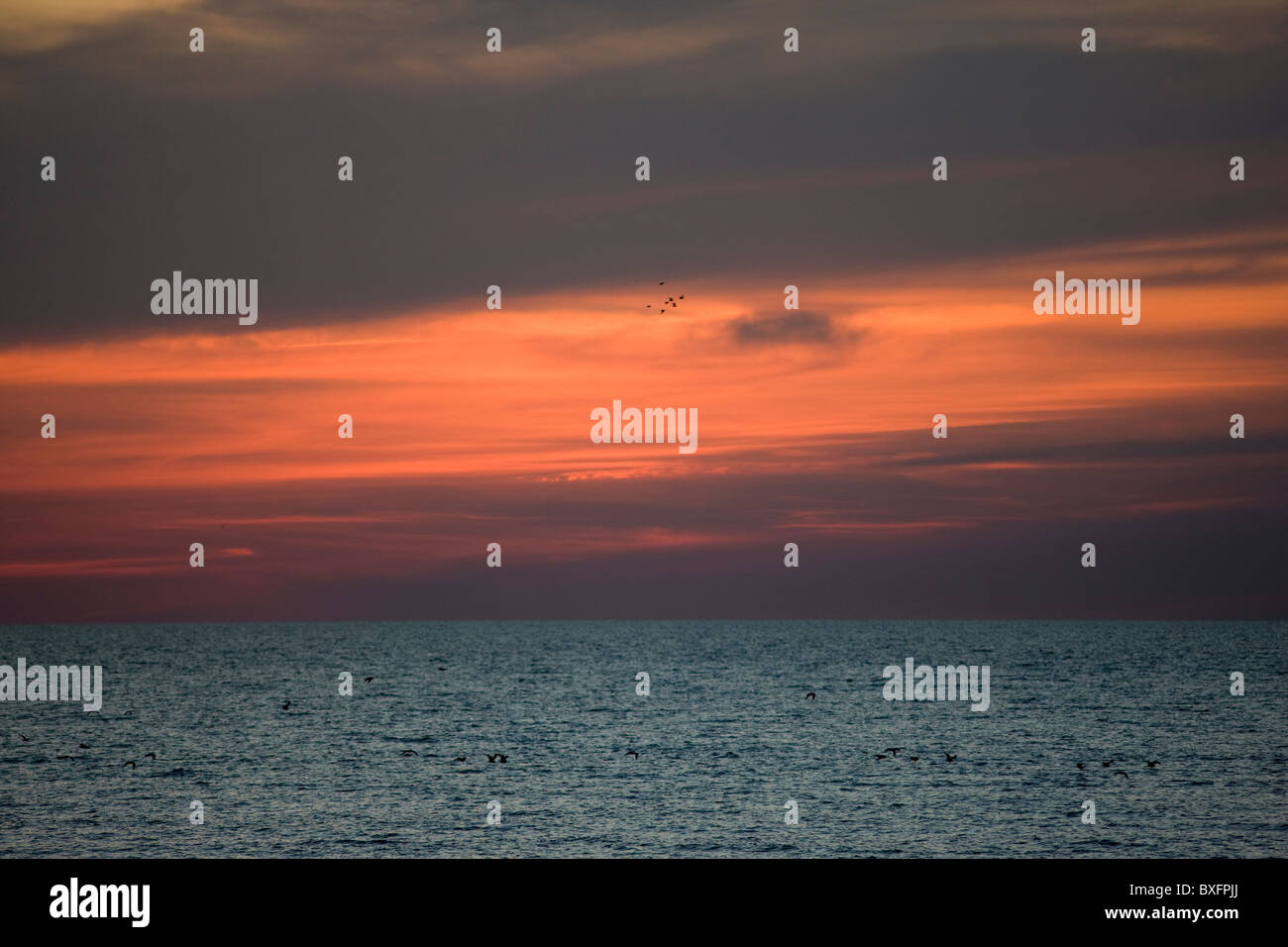 Coucher de soleil sur le golfe du Mexique d'Anna Maria Island, Floride, États-Unis d'Amérique Banque D'Images