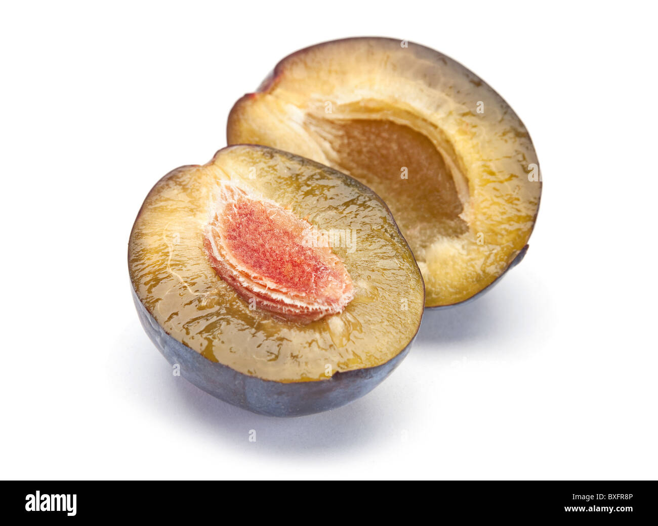 Prune bleue Banque D'Images