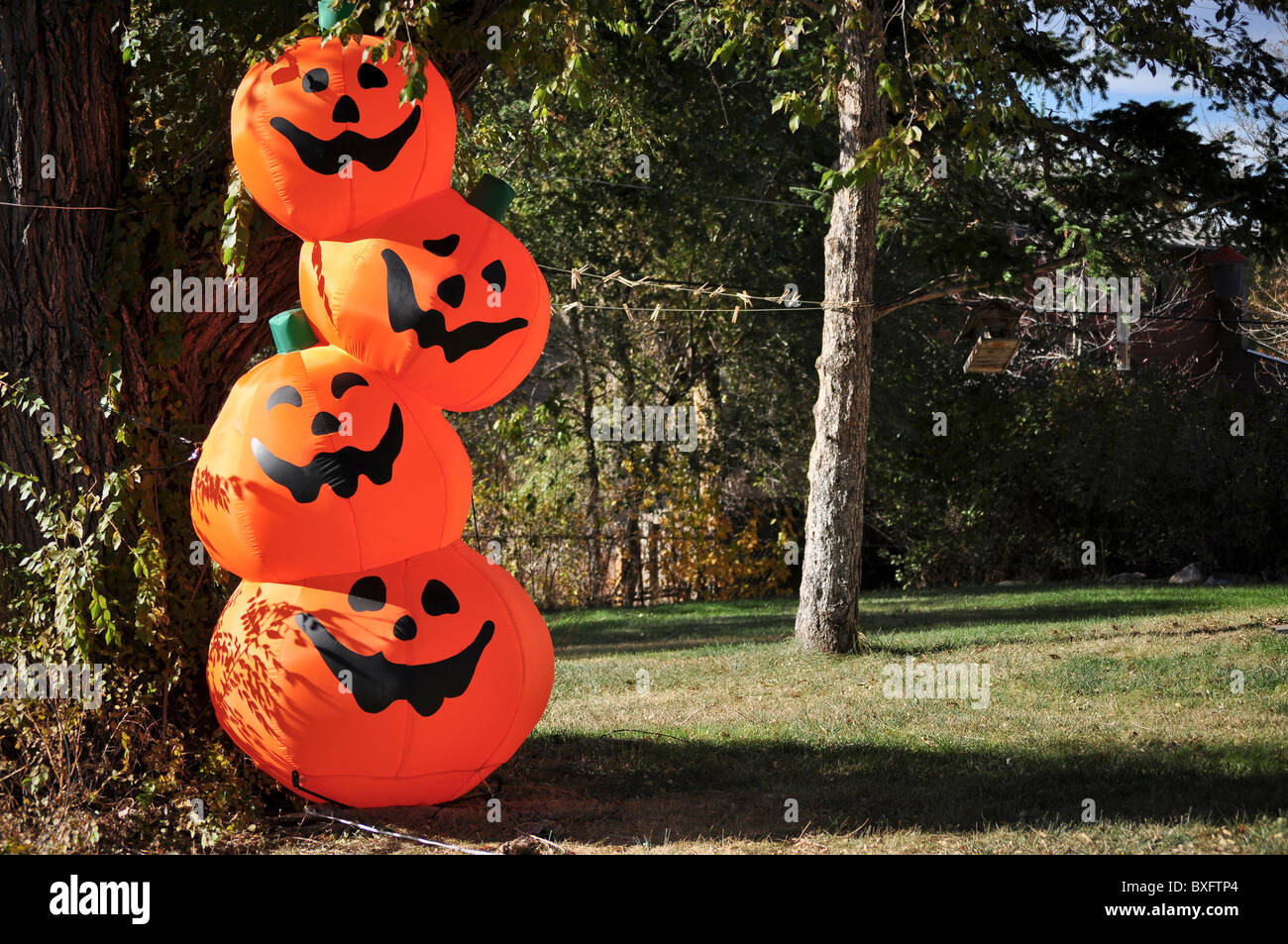 Decorationsjack Halloween-o-lanternes Banque D'Images