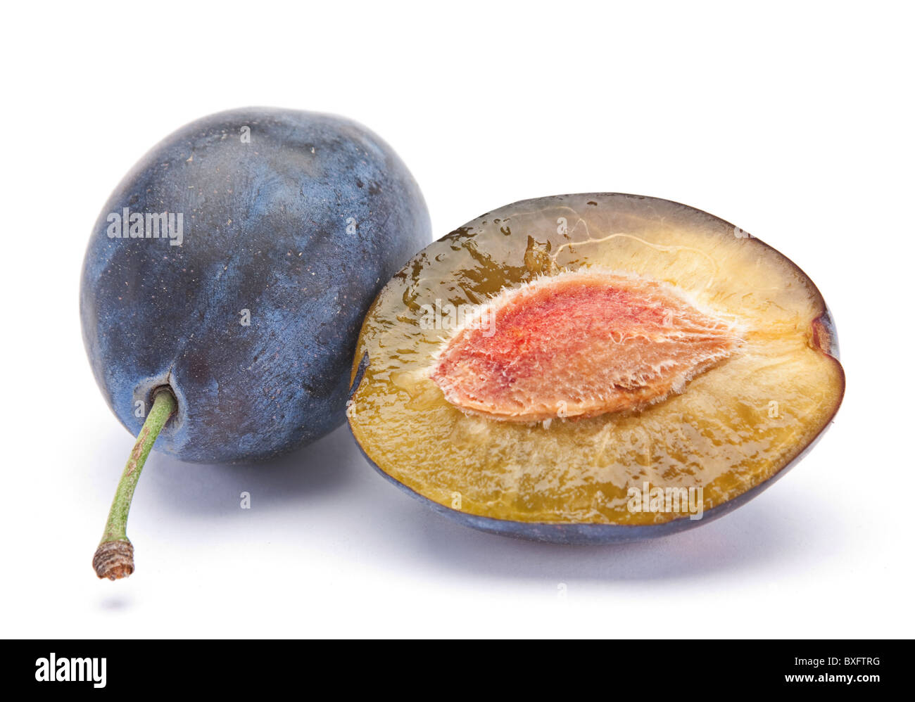 Prune bleue Banque D'Images