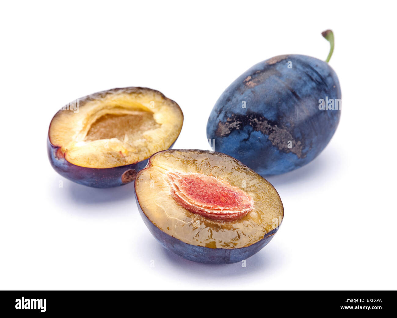 Prune bleue Banque D'Images