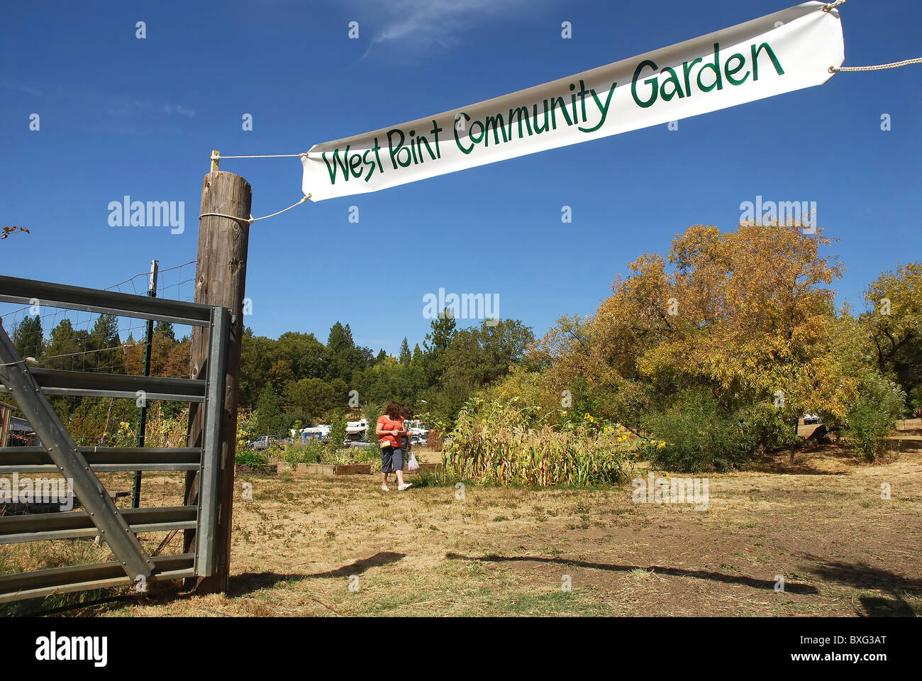 Entrée au jardin communautaire de West Point, Californie Banque D'Images