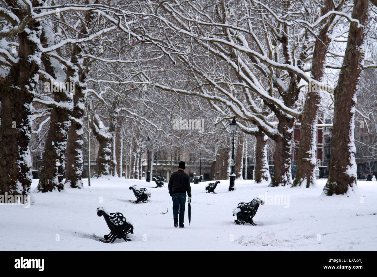 Neige en hiver - Green Park - Westminster - Londres Banque D'Images