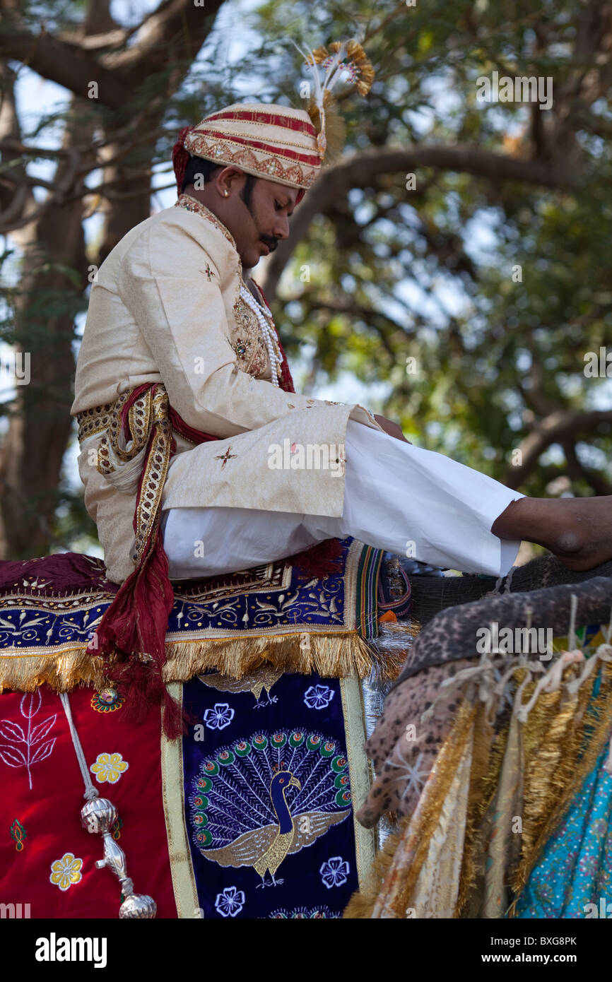 Festival de l'éléphant à Jaipur, Inde. Banque D'Images