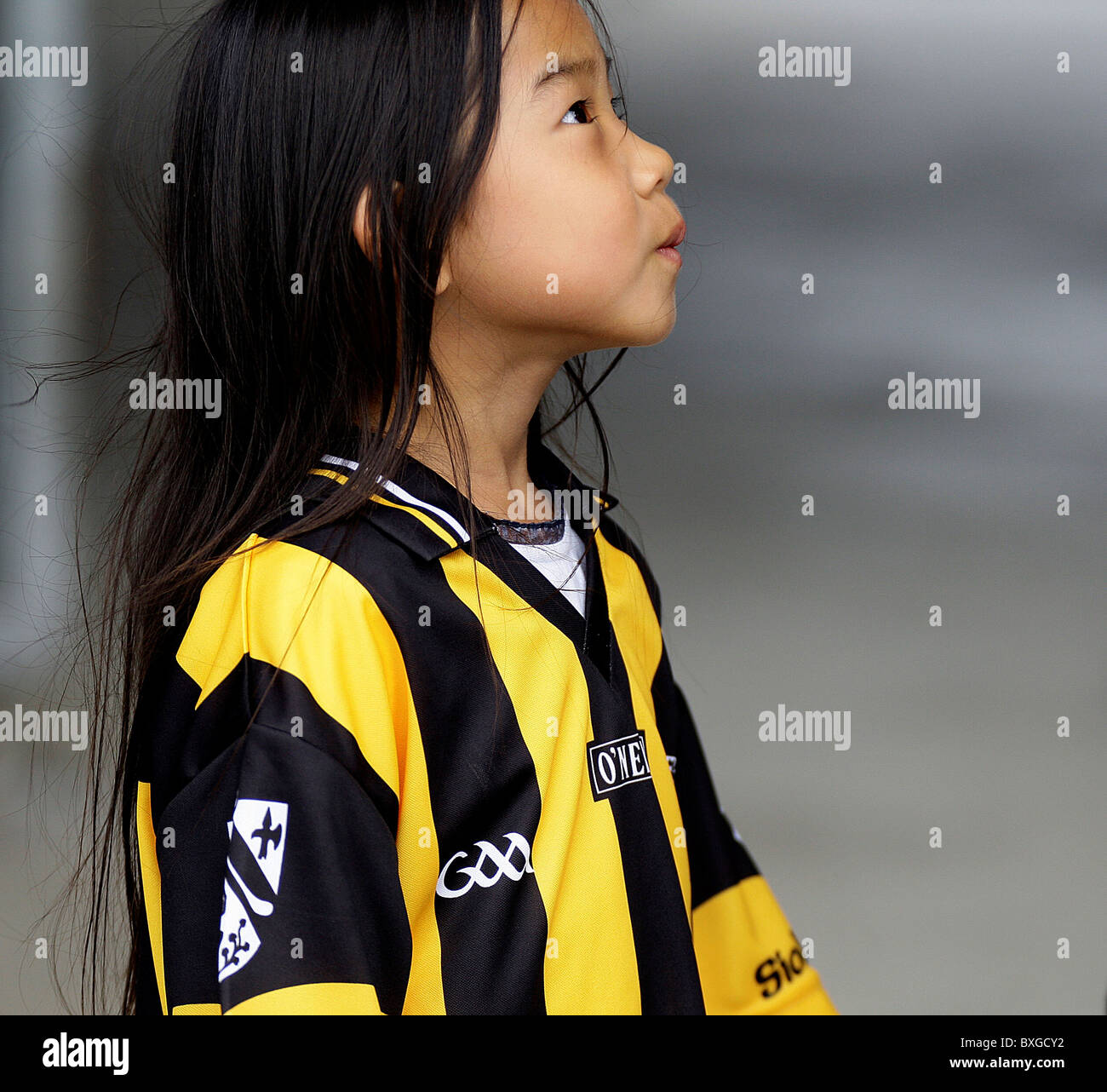 Football Senior Cship WFC, Wexford Park, Kilanerin-Ballyfad Shelmaliers V - 22 août 2010 Banque D'Images