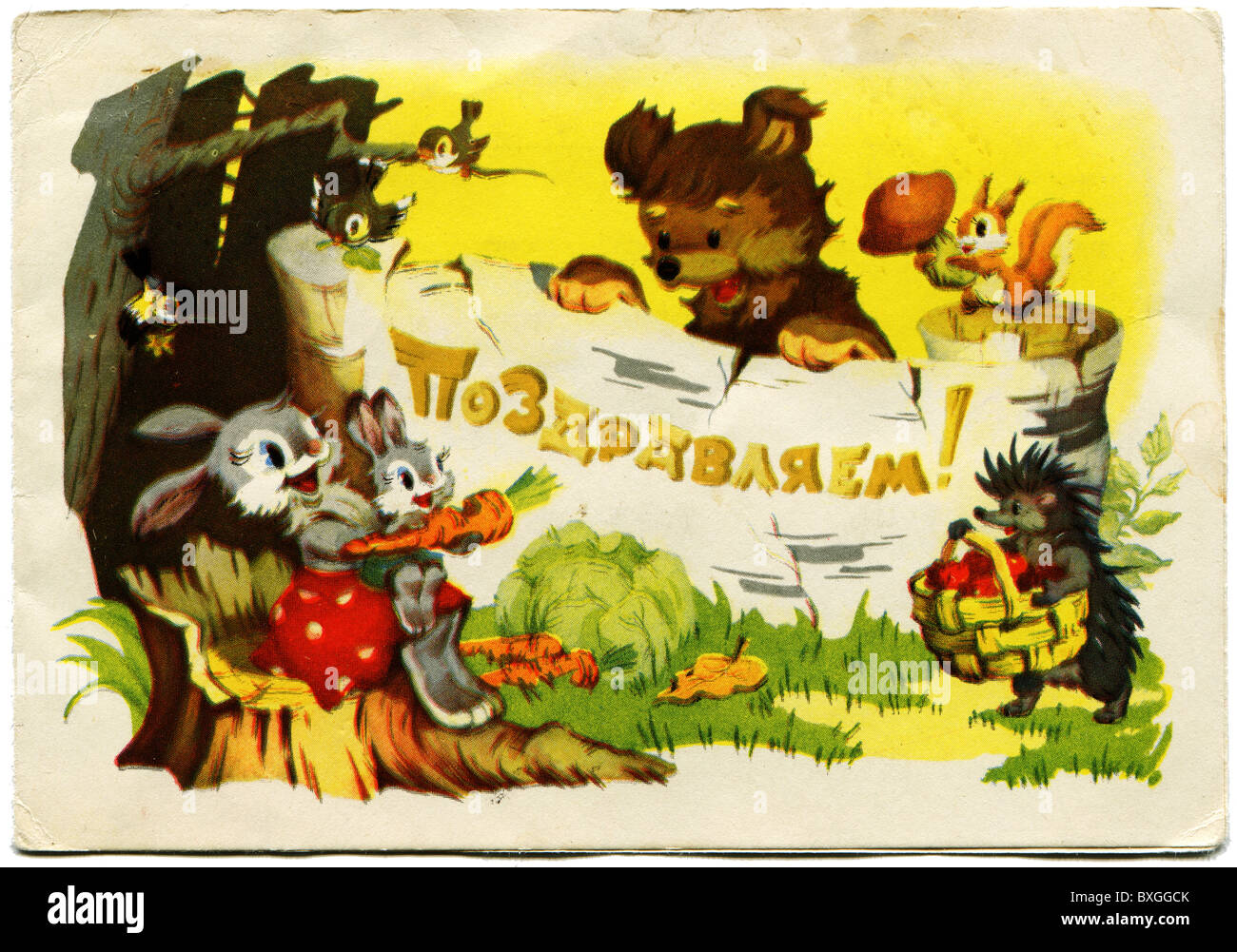 Carte De Souhaits Joyeux Anniversaire Montre Les Animaux Sauvages Avec Une Banniere A La Main Une Inscription En Russe Felicitations Photo Stock Alamy Carte De Souhaits Joyeux Anniversaire Montre Les Animaux Sauvages Avec Une Banniere A La Main Une Inscription En Russe Felicitations Photo Stock Alamy
