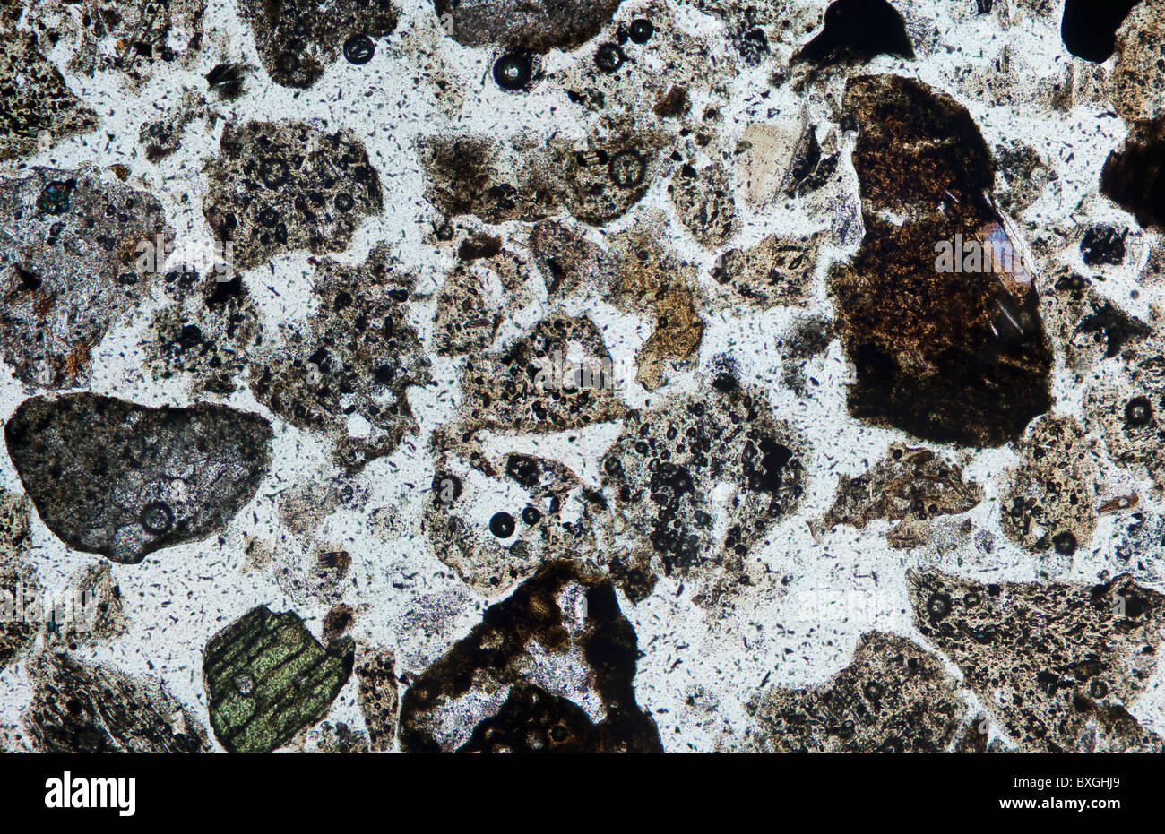 Les cendres volcaniques du volcan Eyjafjallajökull vue au microscope, en lumière polarisée Banque D'Images