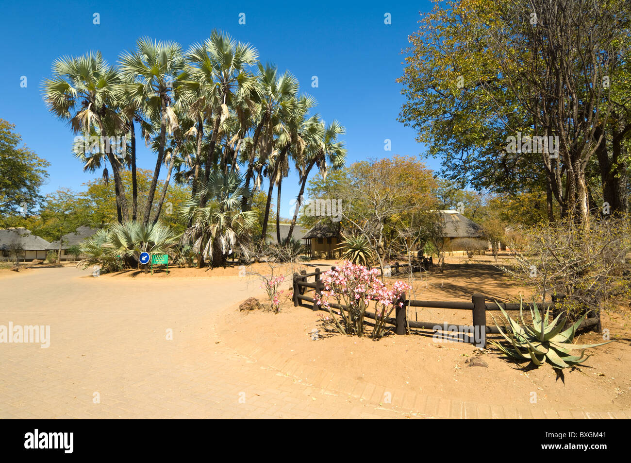 Shingwedzi Rest Camp Parc National Kruger en Afrique du Sud Banque D'Images