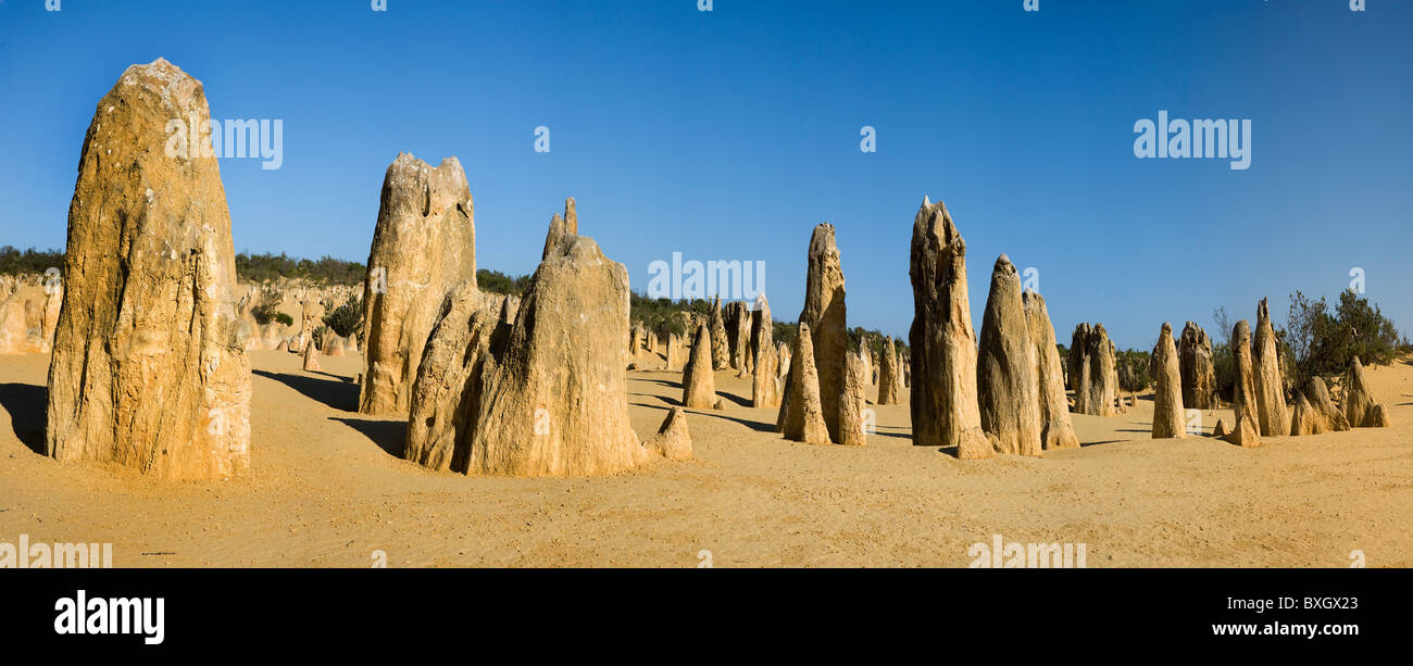 Désert des Pinnacles près de Cervantes dans l'ouest de l'Australie vue panoramique Banque D'Images