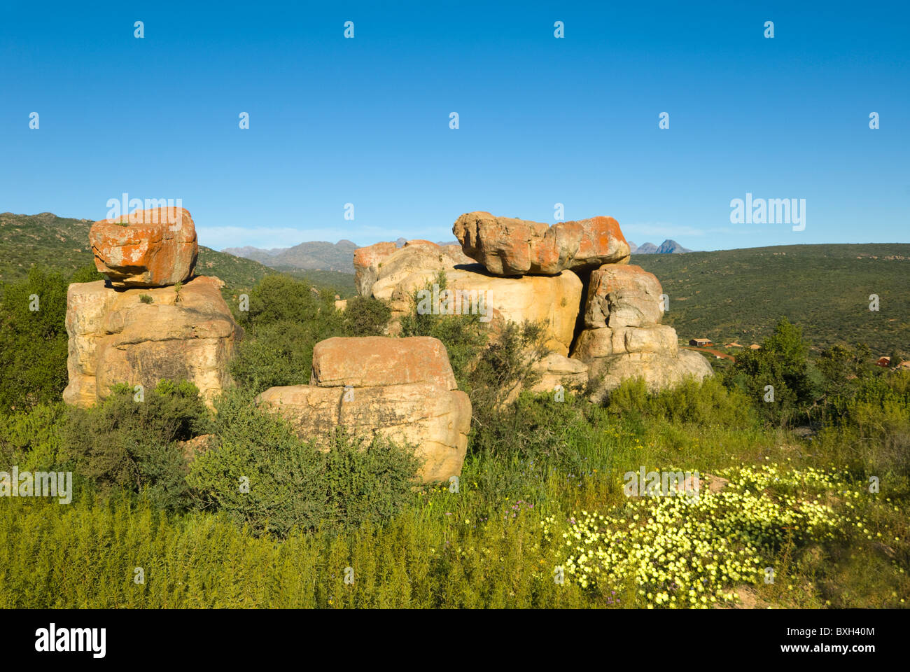 Montagnes Cederberg Namaqualand Western Cape Afrique du Sud Banque D'Images