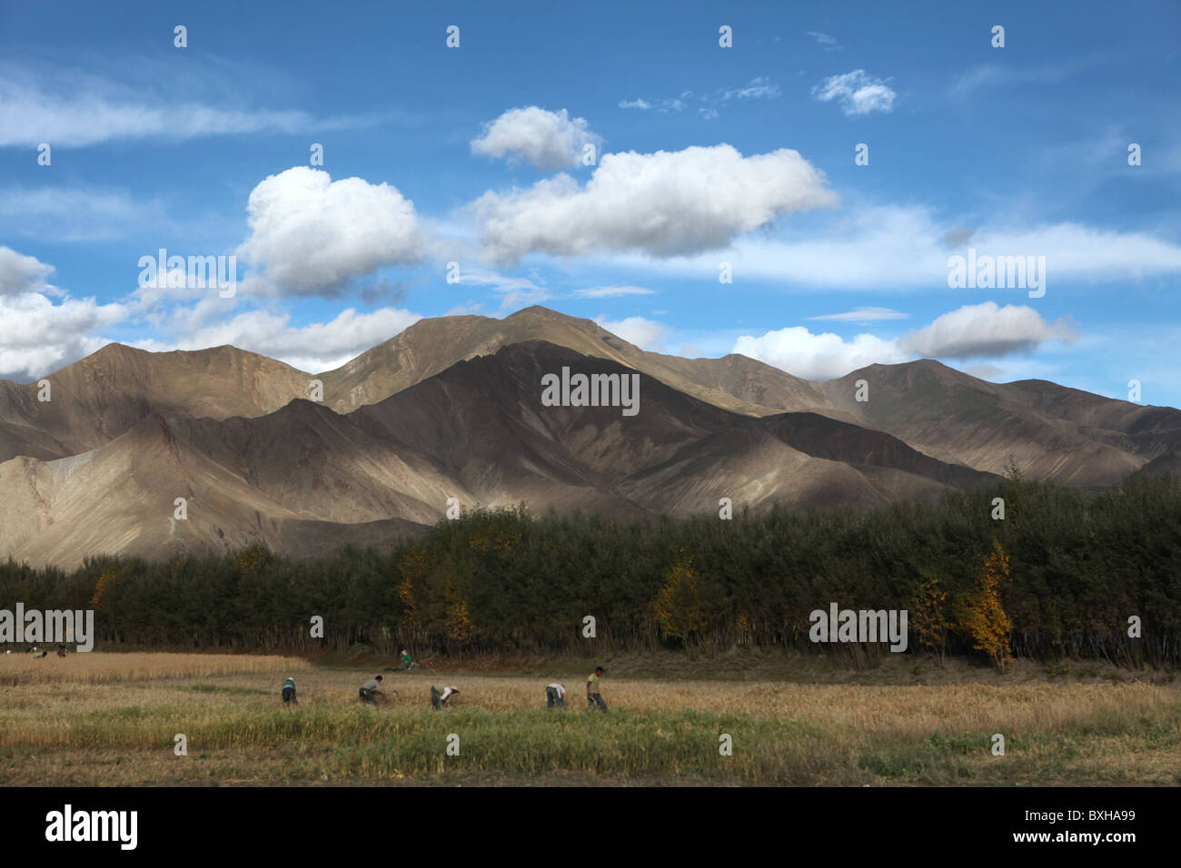 Vue sur les montagnes près de Shigatse, Tibet, Xigazê ou Antomonous tibétaine Région de Chine Banque D'Images