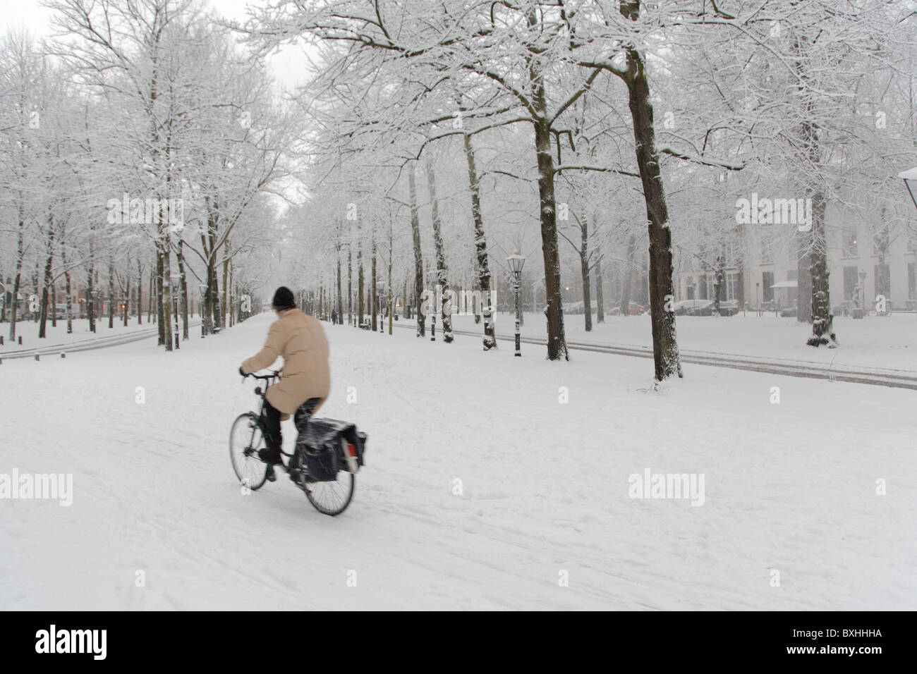 Neige de l'hiver, La Haye, Pays-Bas, Hollande, Europe Banque D'Images