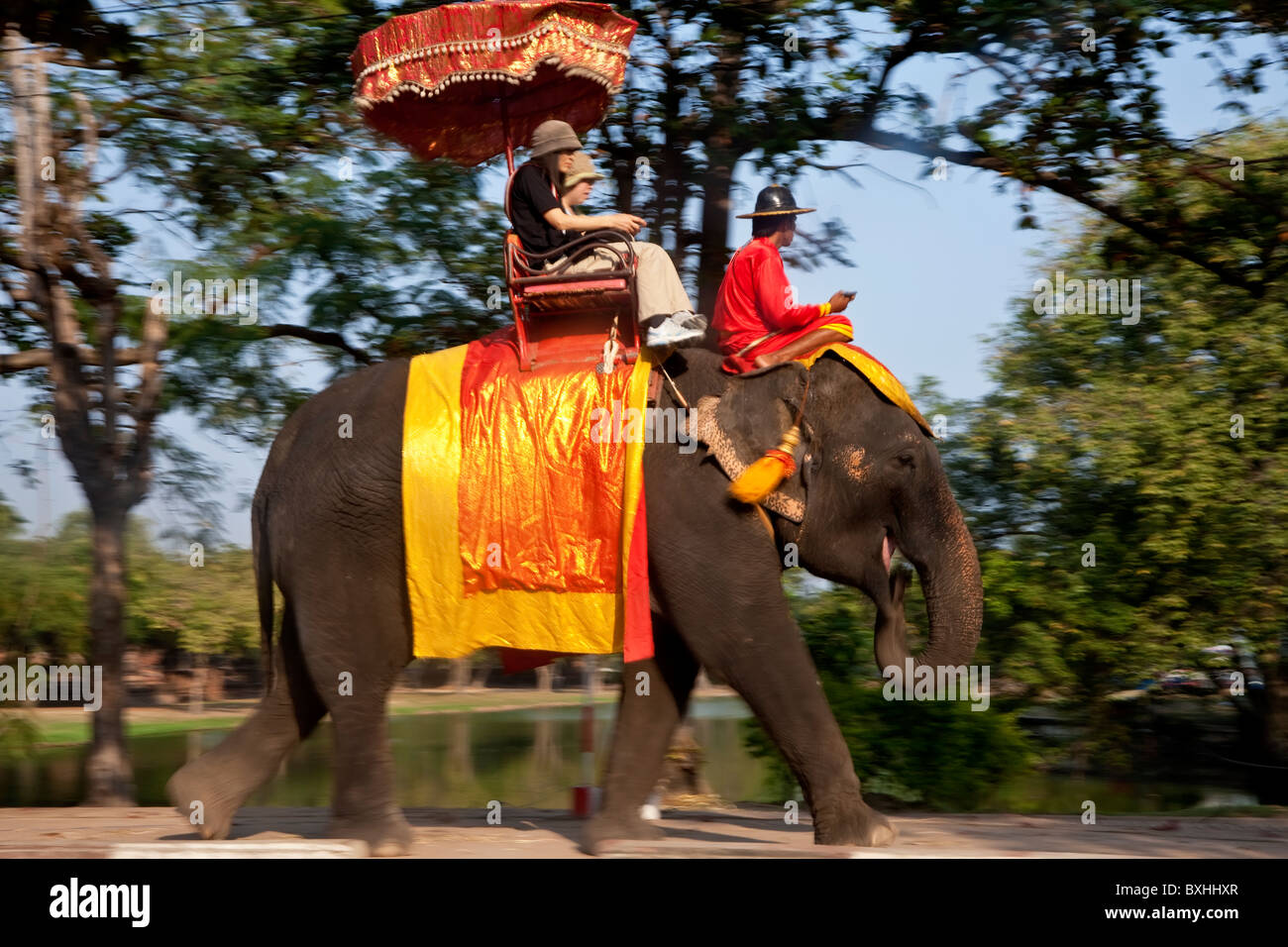 Des promenades touristiques éléphant, Ayutthaya, Thaïlande Banque D'Images