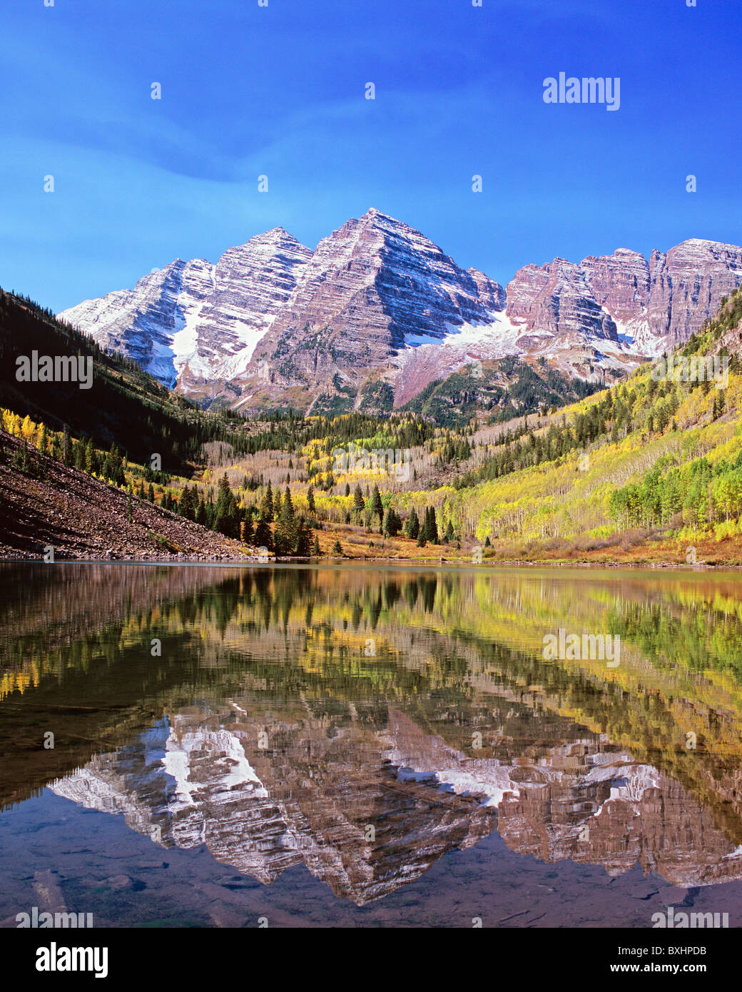 Maroon Bells reflète dans Maroon Lake avec golden tremble, Rocky Mountains, Colorado, USA Banque D'Images