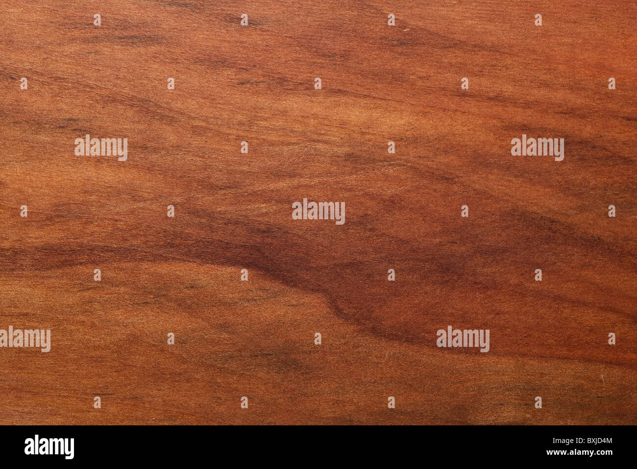 La texture du bois d'Apple Banque D'Images