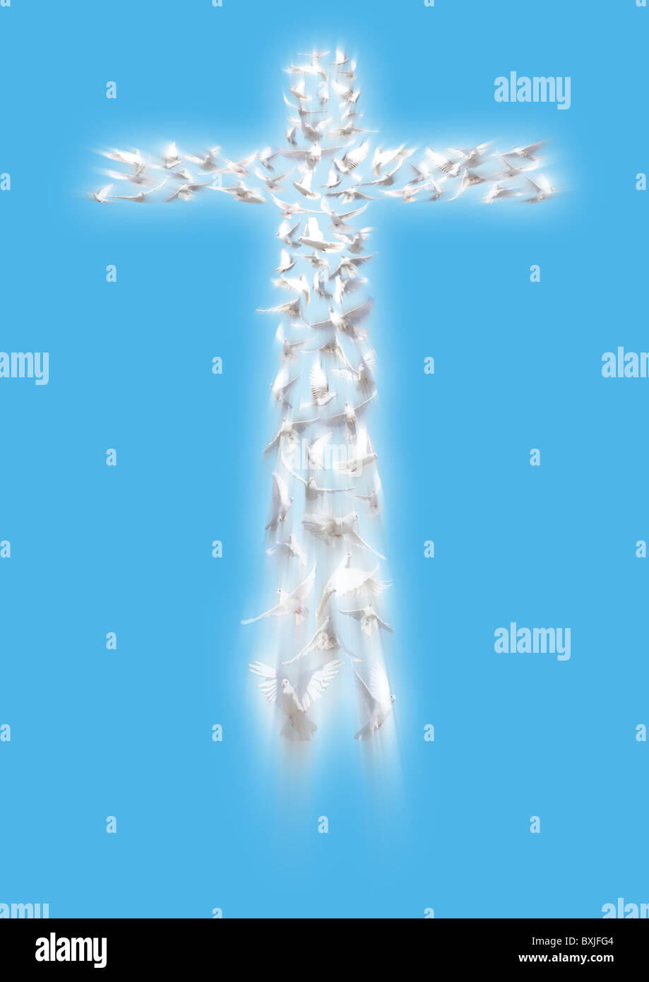 Croix de colombes blanches battant en perspective collage ; dove est