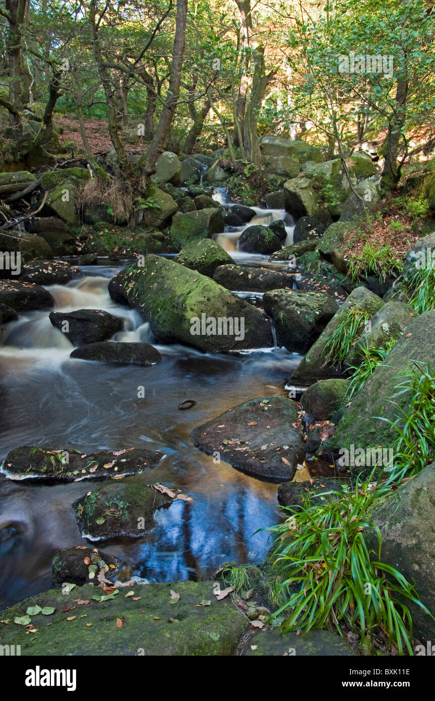 Burbage Brook en Padley Gorge, Peak District Banque D'Images