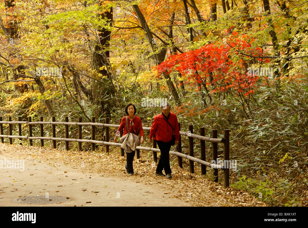 Couple enjoying autumn color, Corée du Sud Banque D'Images