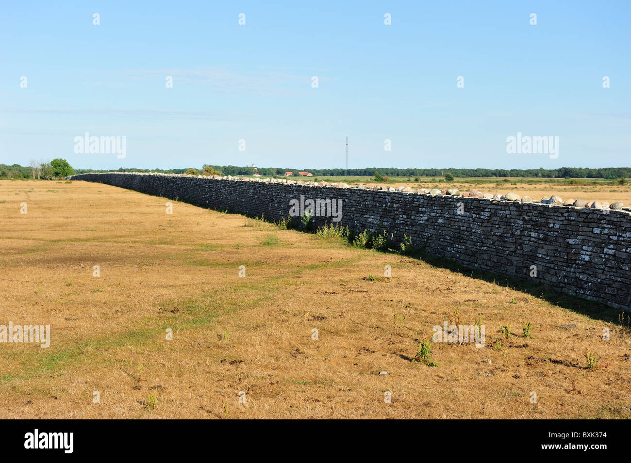 Un très long mur de pierre dans une lande. Banque D'Images