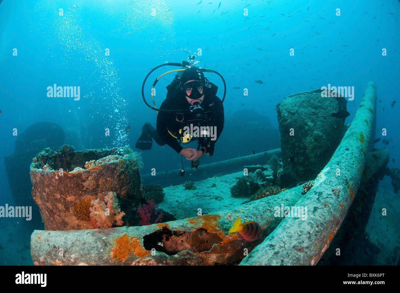 Plongeur au un naufrage au Parc National Ras Mohammed, Mer Rouge, Sinaï, Égypte, Banque D'Images