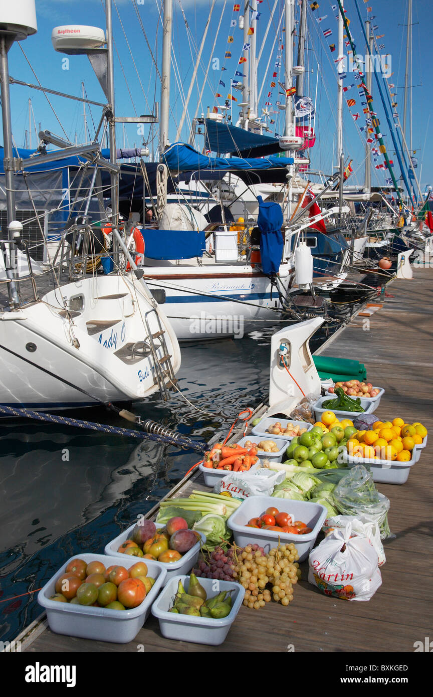 Arc 2007 course transatlantique à partir de Las Palmas à Sainte-Lucie dans les Caraïbes Banque D'Images