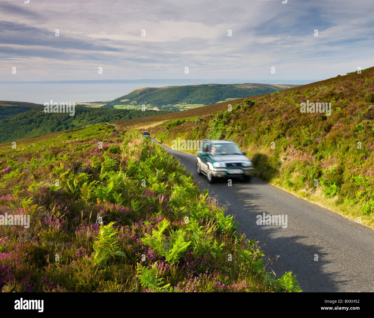 Parc National d'Exmoor Banque D'Images