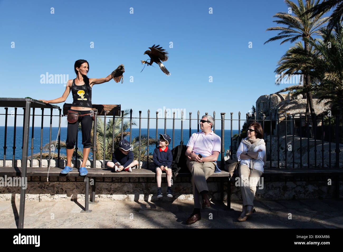 Falconer, refuge de rapaces, Peniscola, Valencia, Espagne Banque D'Images