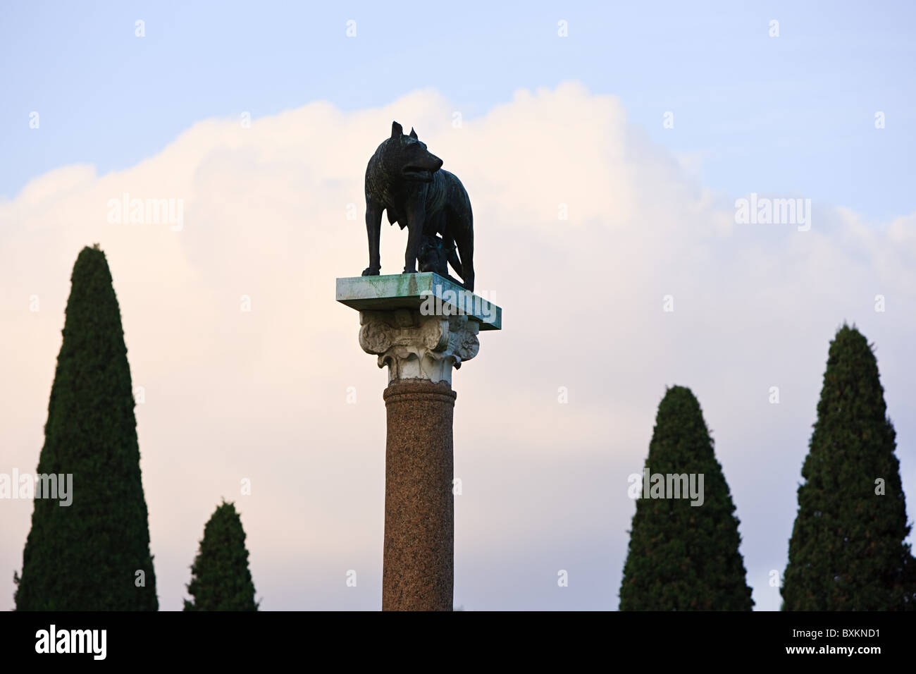 Statue de Romulus et Remus et le loup, Pise, Italie Banque D'Images