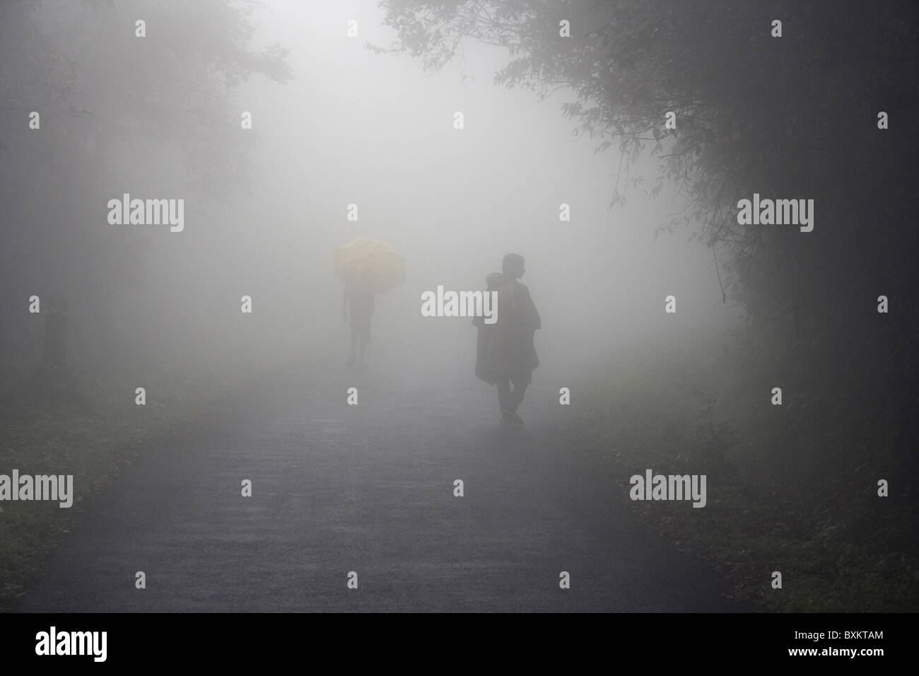 Les gens se promènent à travers brume à Amboli, Inde Banque D'Images