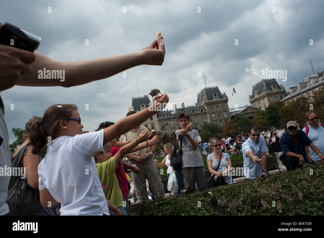 Paris, France, scène de rue, Groupe de touristes, jeunes adolescents Nourrir les oiseaux en face Banque D'Images
