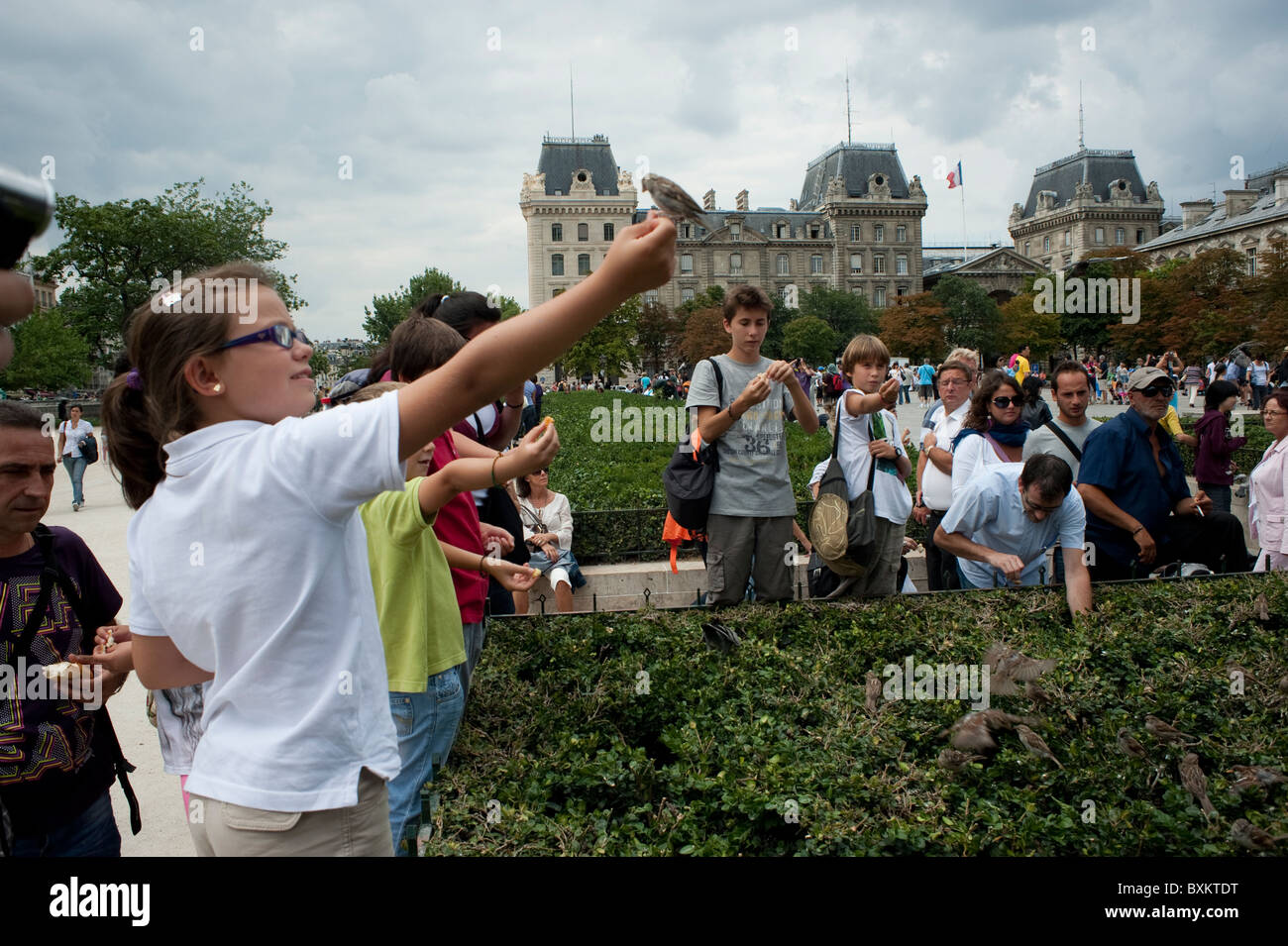 Scène de rue, touristes de foule, jeunes adolescents nourrissant des oiseaux, Paris, France, Banque D'Images