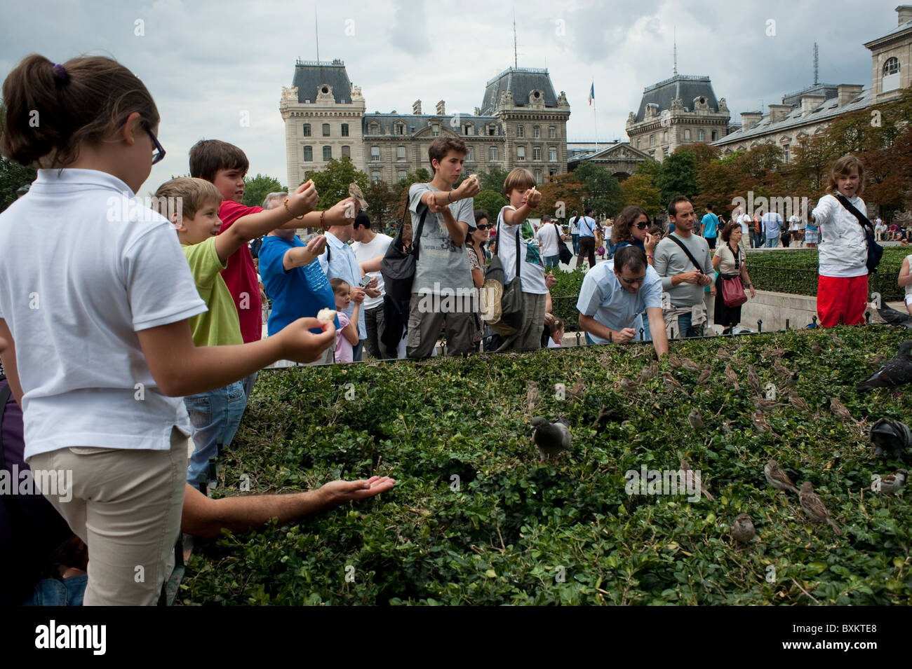 Paris, France, scène de rue, jeunes adolescents touristes Nourrir les oiseaux en face de la Cathédrale Notre-Dame Banque D'Images