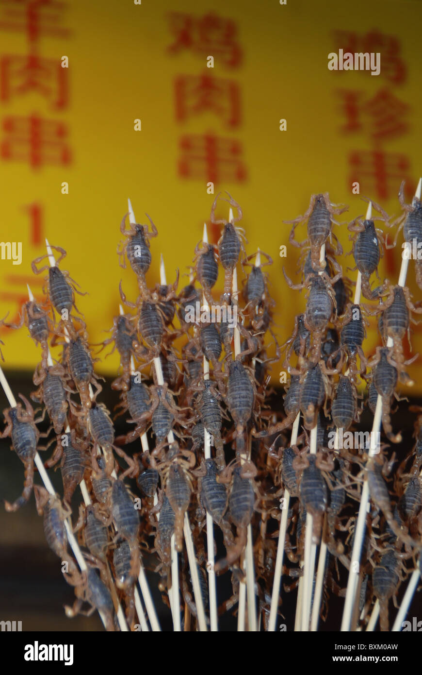 Marché alimentaire, des scorpions, des scarabées, la rue Wangfujing, Beijing, Chine Banque D'Images