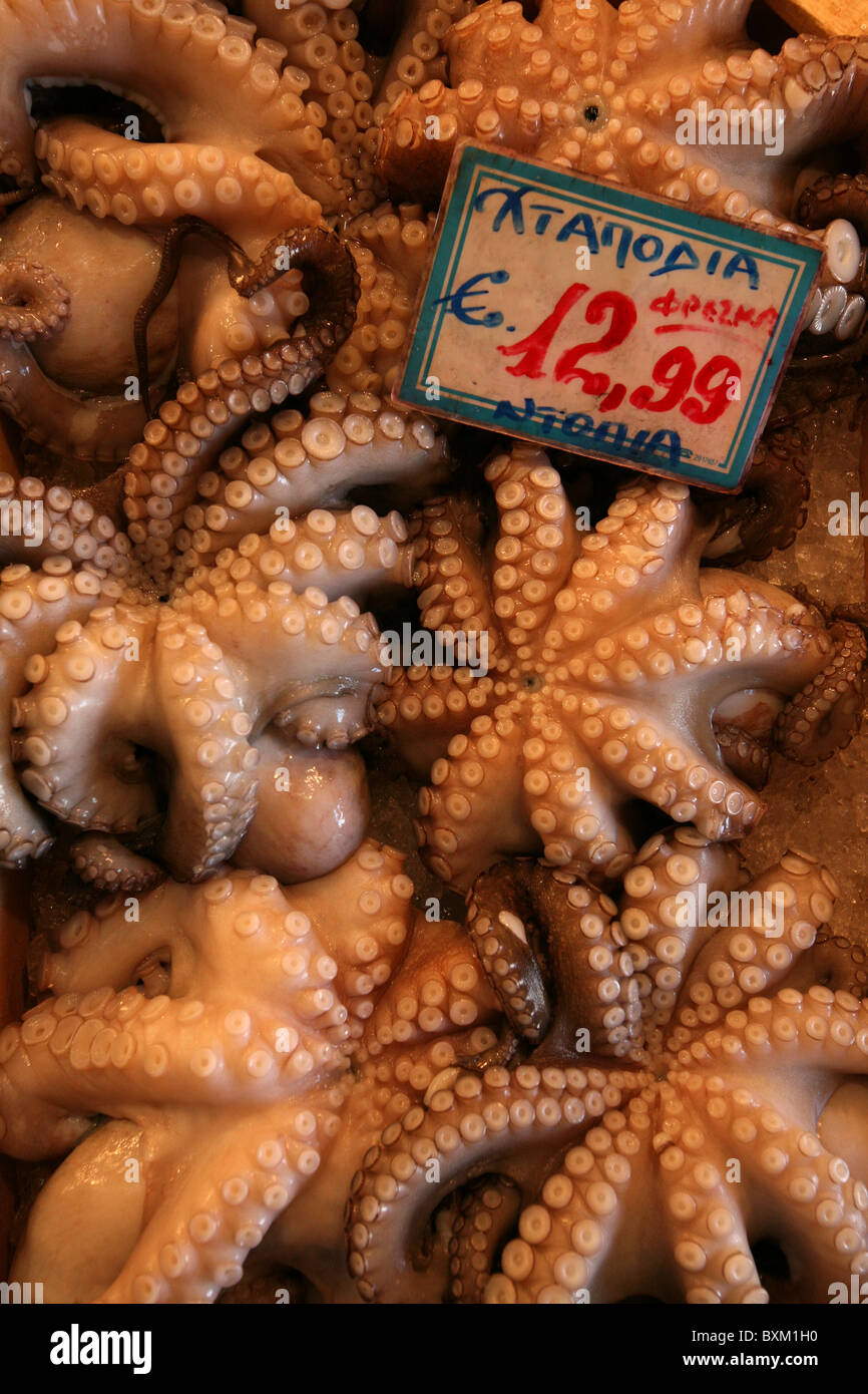 Pieuvre commune (Octopus vulgaris), également connu sous le nom de pieuvre en vente sur le marché central des fruits de mer à Athènes, Grèce. Banque D'Images