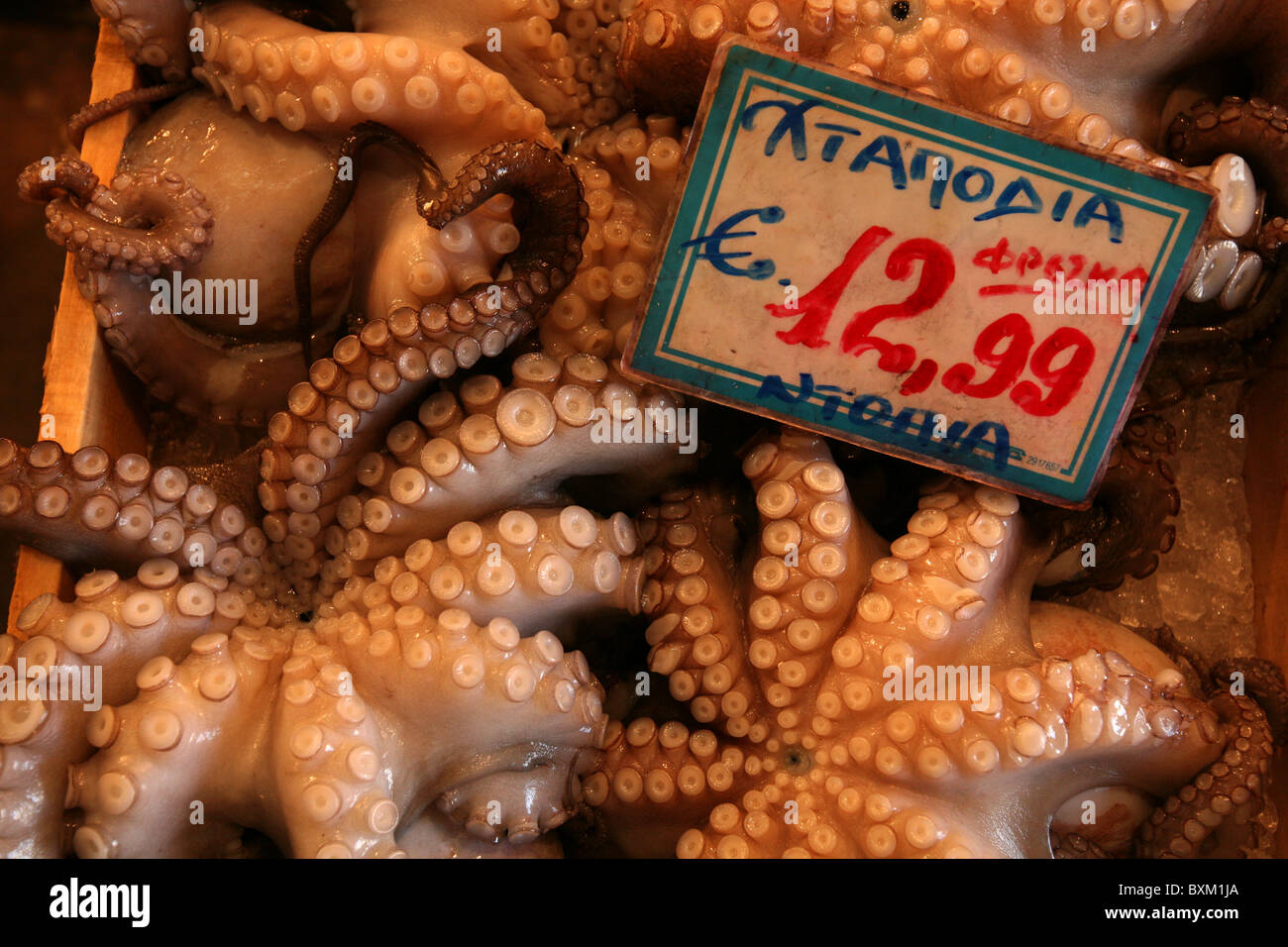 Pieuvre commune (Octopus vulgaris), également connu sous le nom de pieuvre en vente sur le marché central des fruits de mer à Athènes, Grèce. Banque D'Images