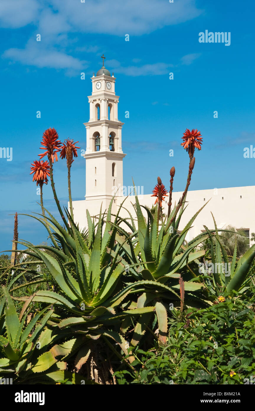 Israël, Jaffa. Église Saint Pierre. Banque D'Images