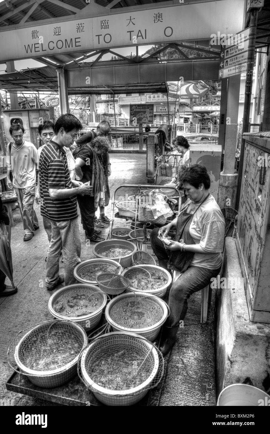 Tai O, Lantau Island, Hong Kong, Chine, Asie, Chines man acheter des poissons vivants à partir de la dame sur market stall Banque D'Images