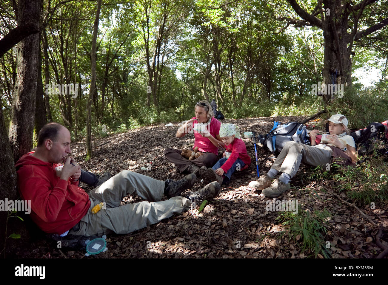 Une pause déjeuner pour un groupe de randonneurs qui s'arrêtent dans une clairière dans la forêt de montagne de l'ouest de la Chine. Banque D'Images