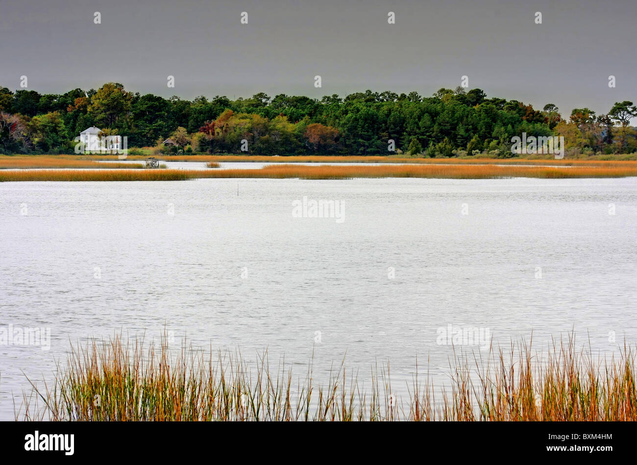 Vue sur l'eau du ruisseau sur un jour d'automne Banque D'Images