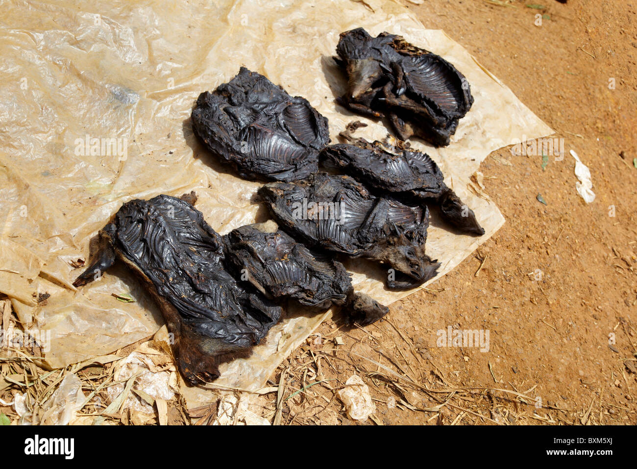 La viande de brousse dans le marché d'Ouesso, République du Congo, Afrique Banque D'Images