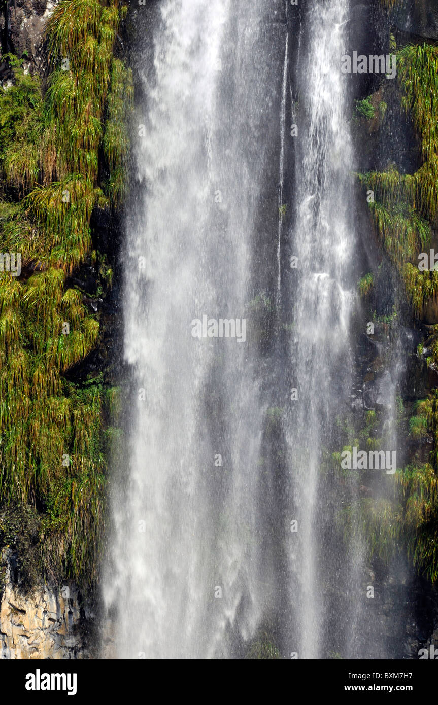 ' Cascade Cachoeira do Avencal', Urubici, Santa Catarina, Brésil Banque D'Images