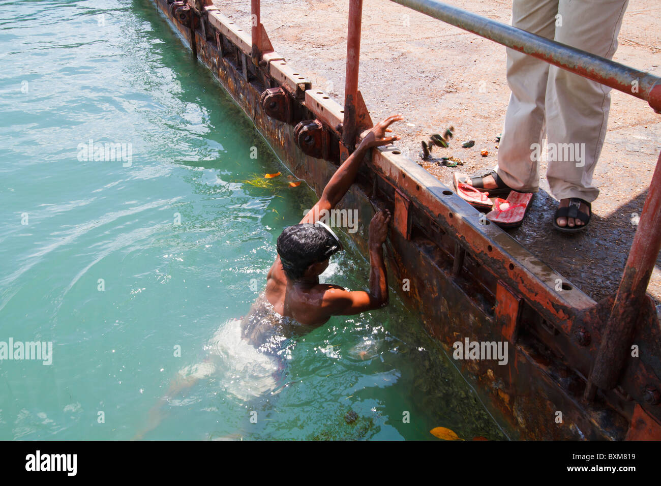 Un free diver les surfaces avec des huîtres fraîches à Tricomalee, port de la côte Est du Sri Lanka. Banque D'Images