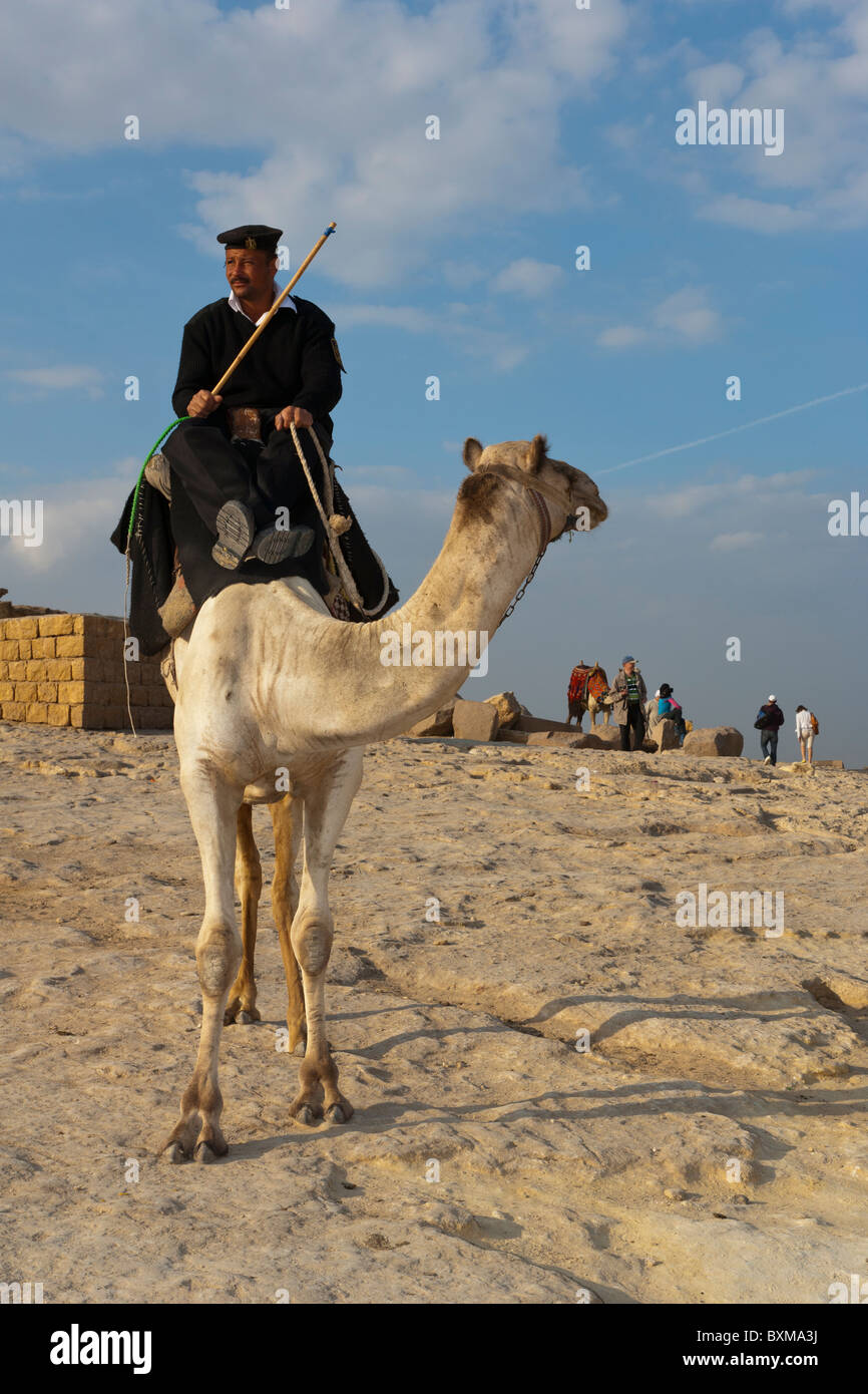 Le Caire Égypte Pyramides chameau policier de l'Afrique du Nord Banque D'Images